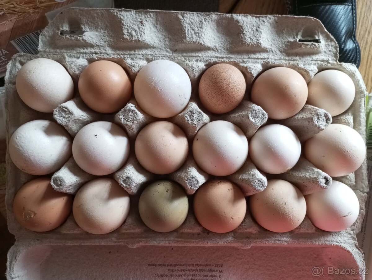 Nasadova vejce