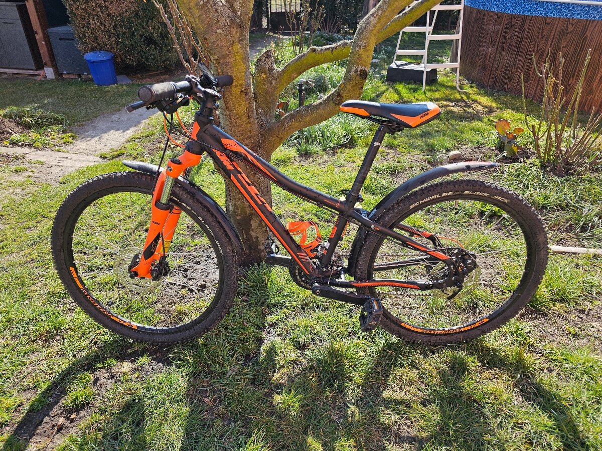 KTM WILD SPEED 24.24 DISC