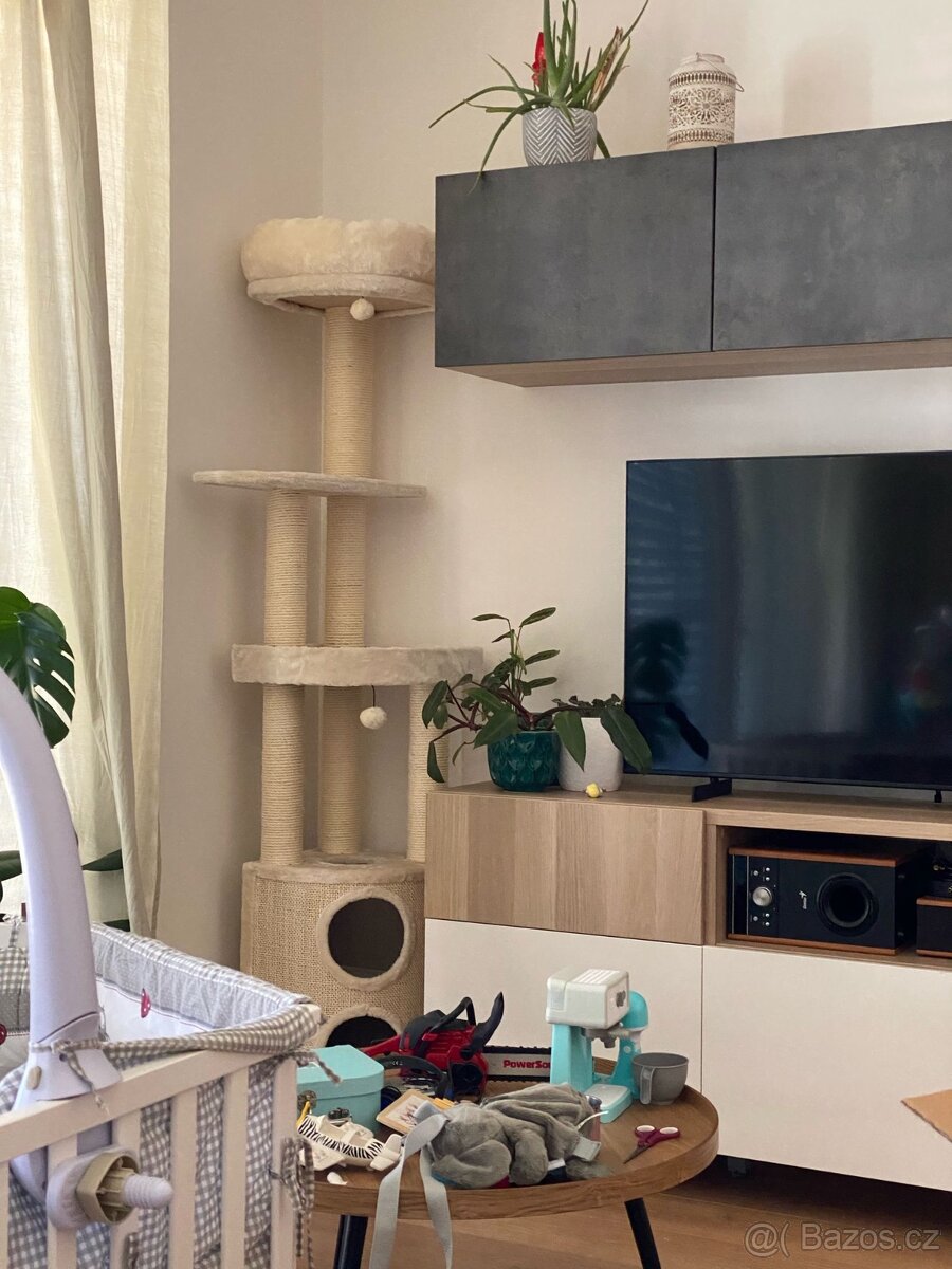 Kočičí strom Catherine rohovy
