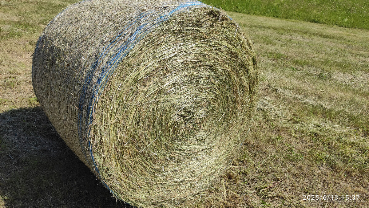 Prodám seno - kulaté balíky, průměr 110cm