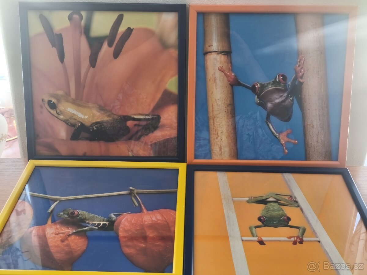 Rámečky na zeď