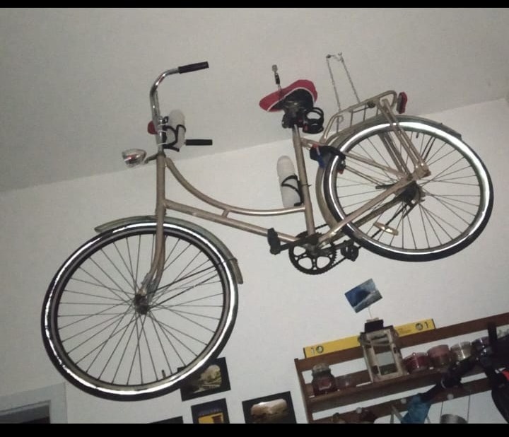 Veterán holandske kolo