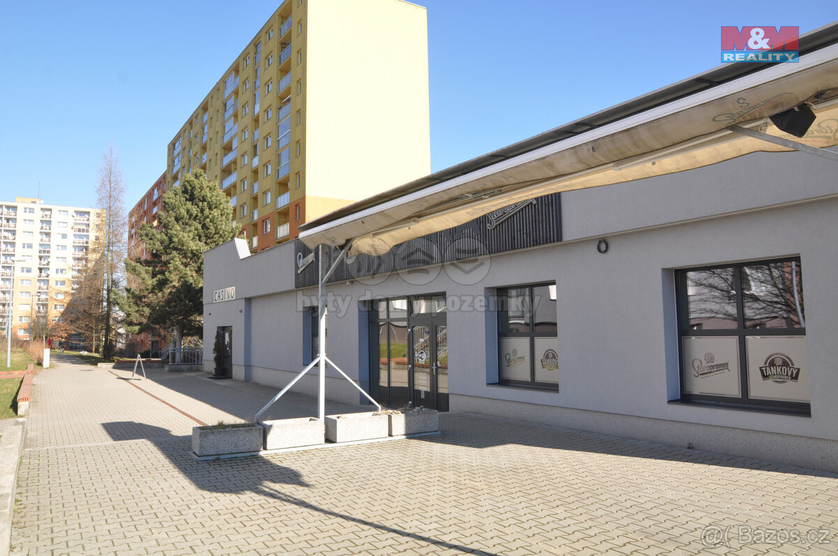 Pronájem obchodního objektu, 487 m², Liberec, ul. Ježkova