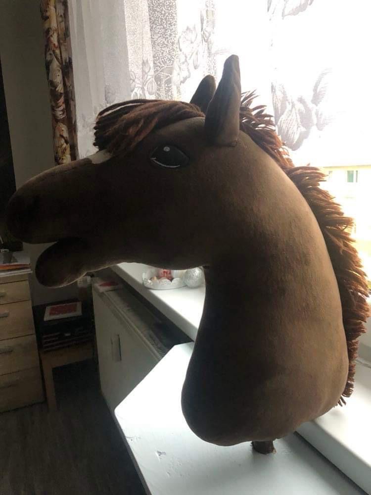 Hobby Horse