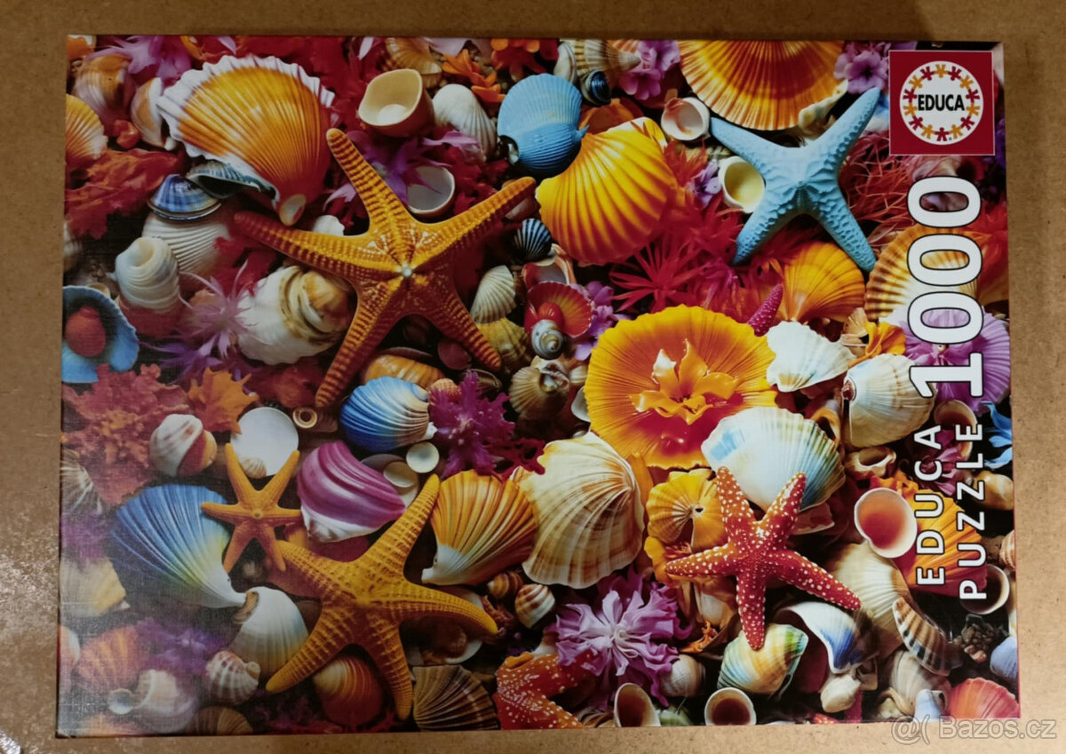 mušle puzzle 1000