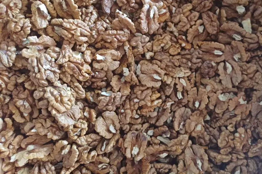 Letošní loupané vlašské ořechy