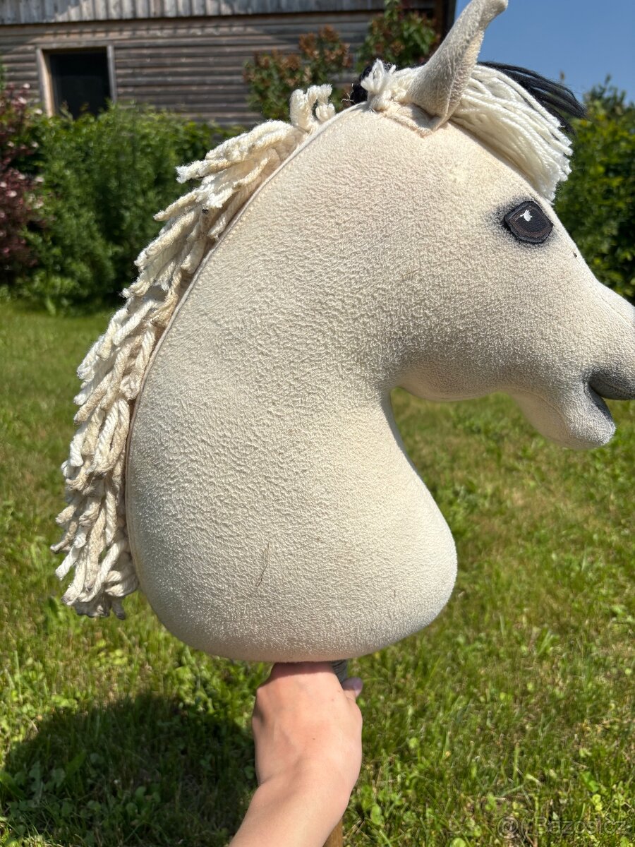 Hobby horse best