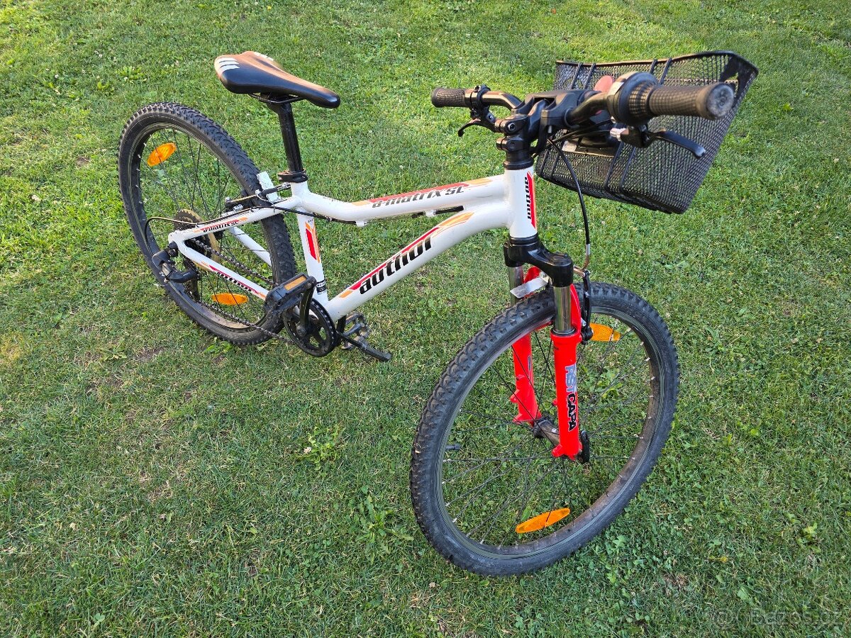 Kolo Author A-Matrix SL 24"