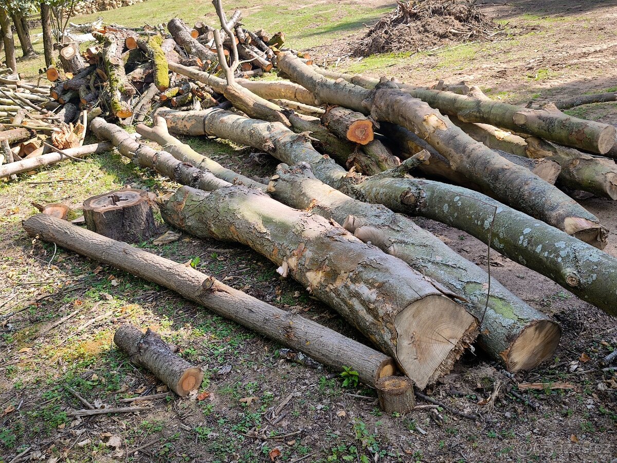 Prodám převážně Tvrdé listnaté dřevo