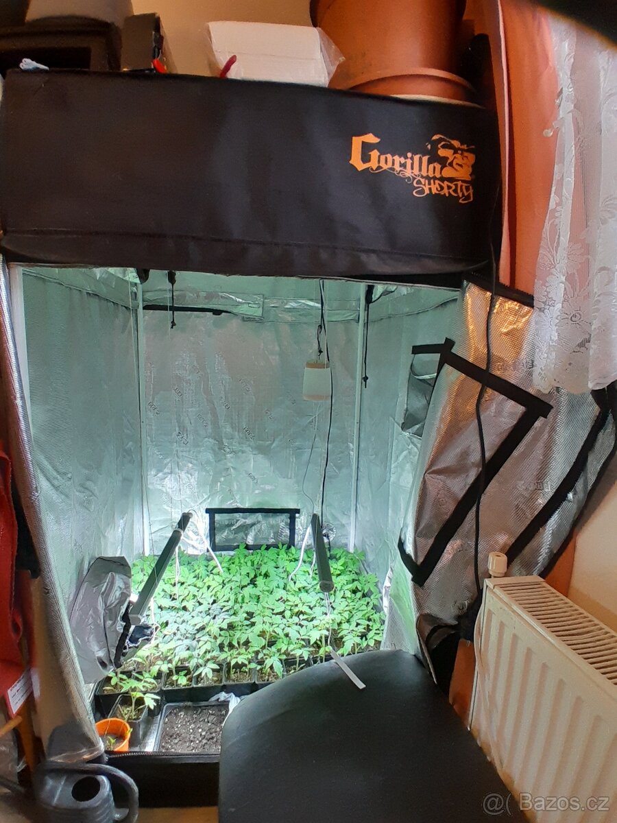 Gorilla pěstební box