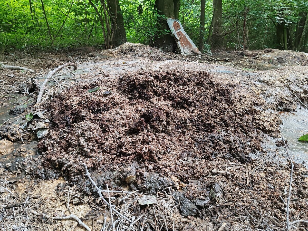 BIO Hnůj na pole nebo záhonů ZDARMA