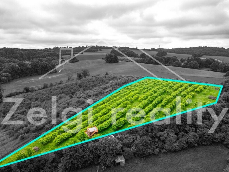 Polom - Jabloňový sad 9760m² s zahradním domkem na prodej