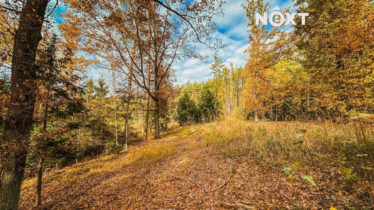 Prodej pozemek Lesy, 10398㎡
