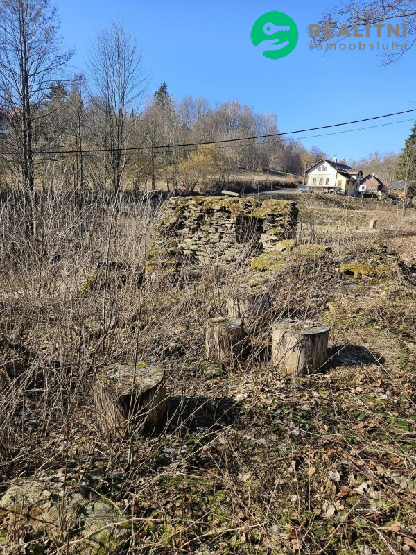 Pozemek Stará Ves u Vysokého nad Jizerou