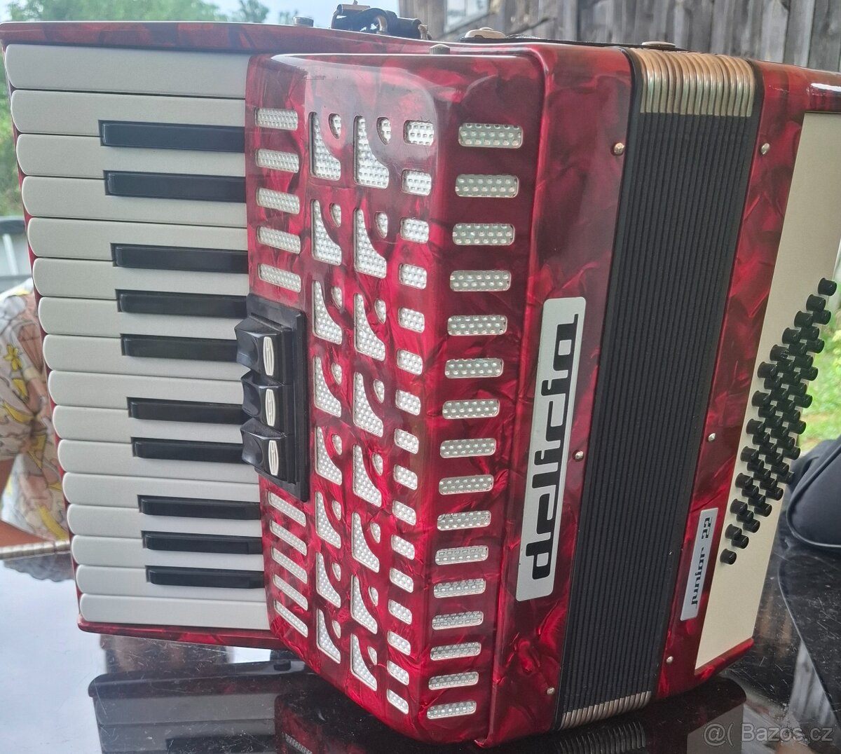 Akordeon delicia junior 22,48 bas