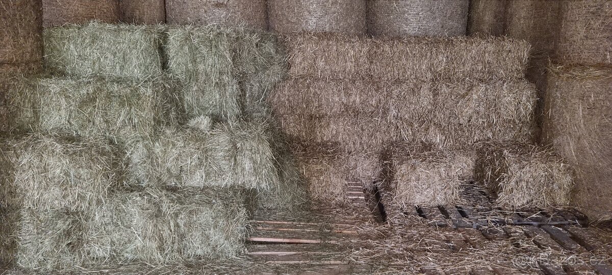 Seno slama male baliky, brambory, pšenice