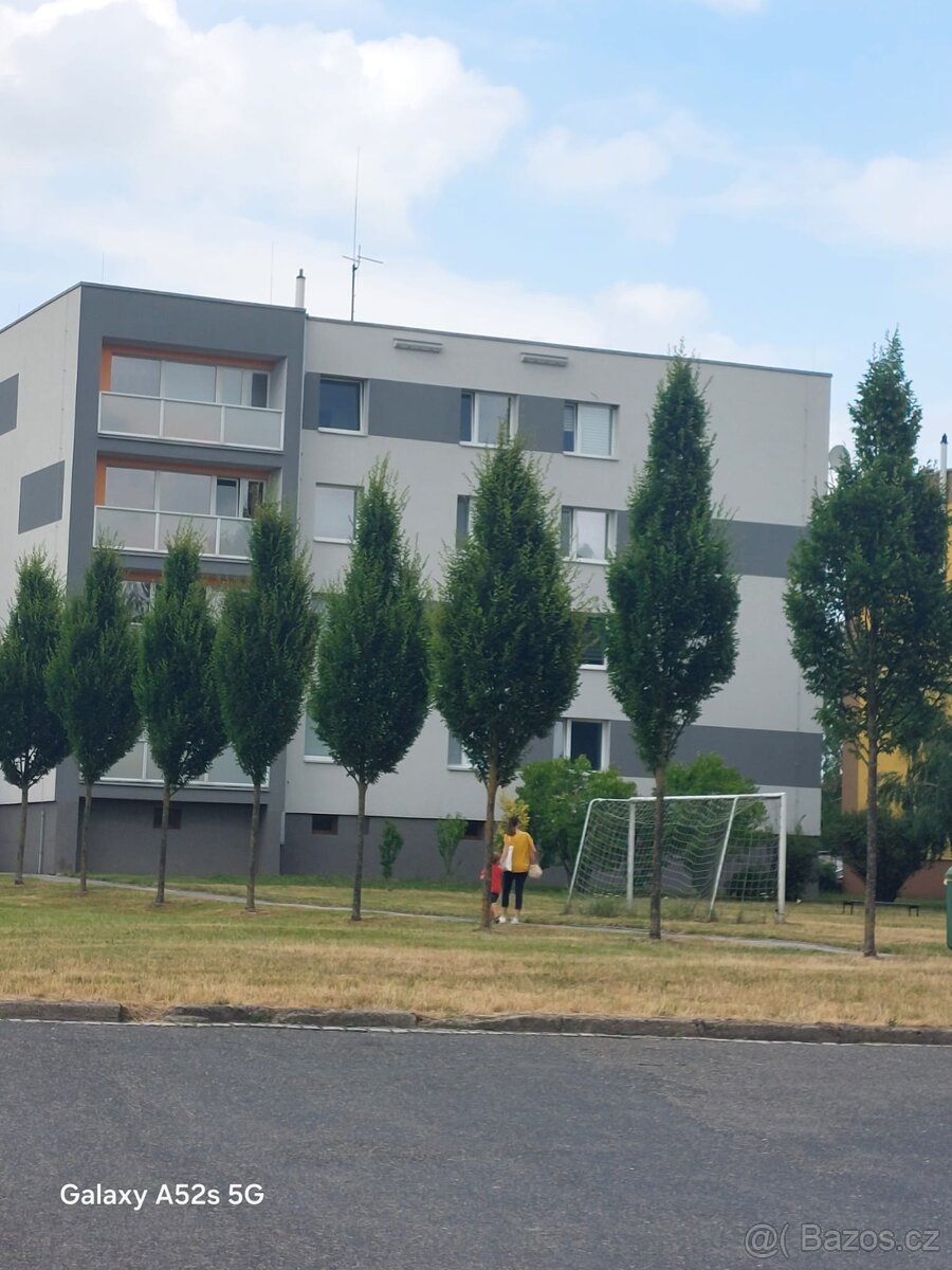 Pronájem bytu 1+1 Dolní Benešov