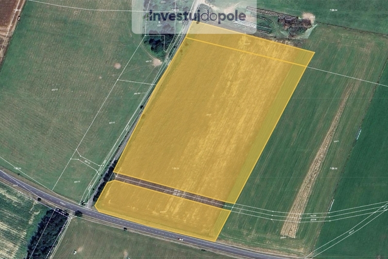 Prodej pole v k.ú. Jelení u Bruntálu