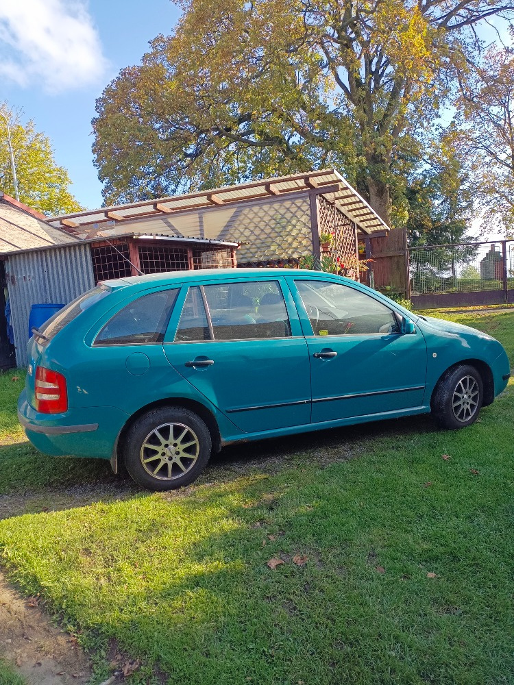 fabia
