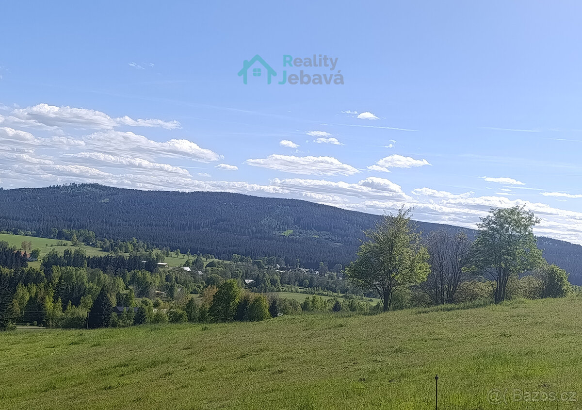 Prodej, pozemek 21 860 m², Křižánky - České Křižánky