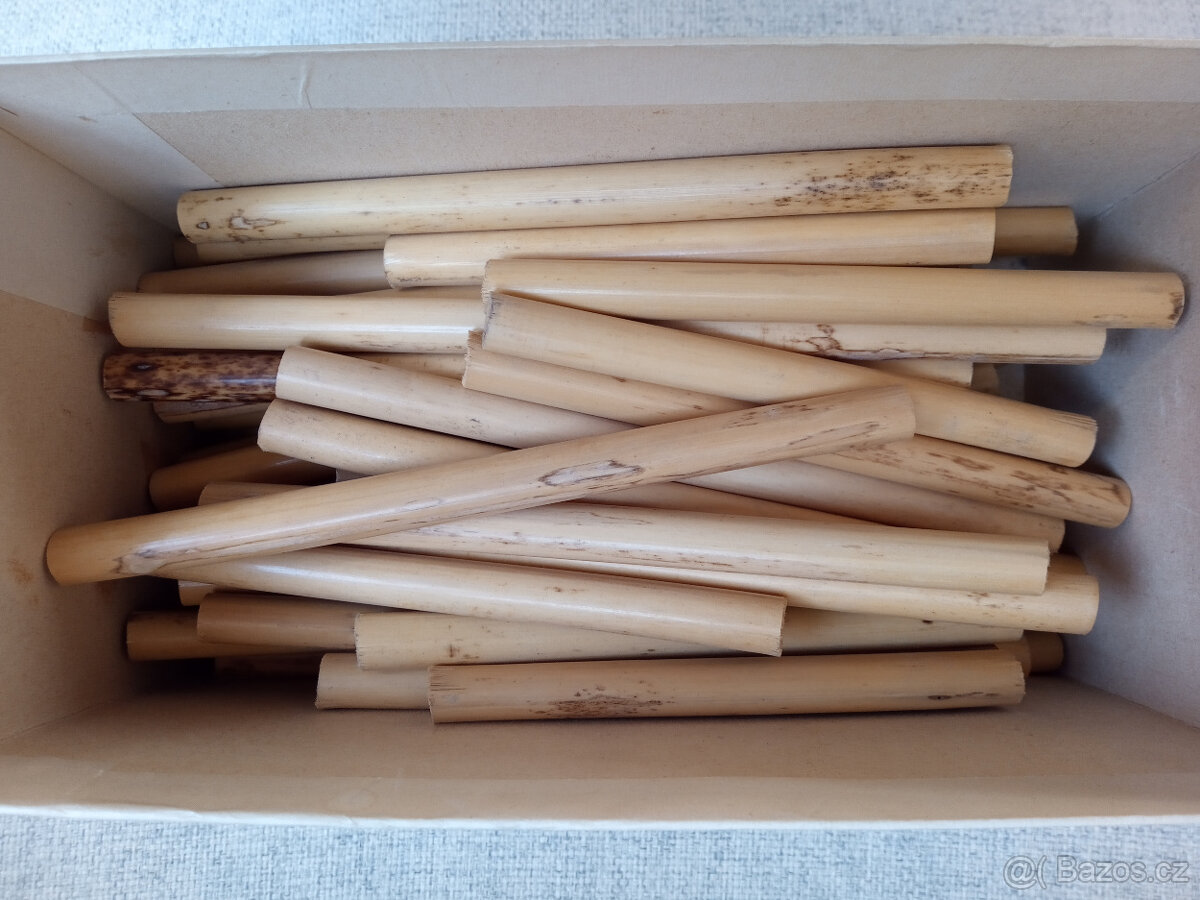 Hobojová třtina Rigotti (France)