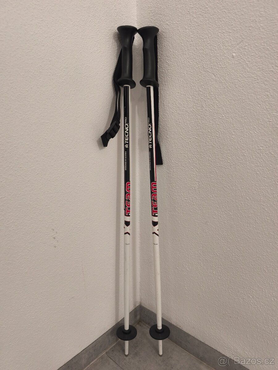 Lyžařské hole TecnoPro 75 cm