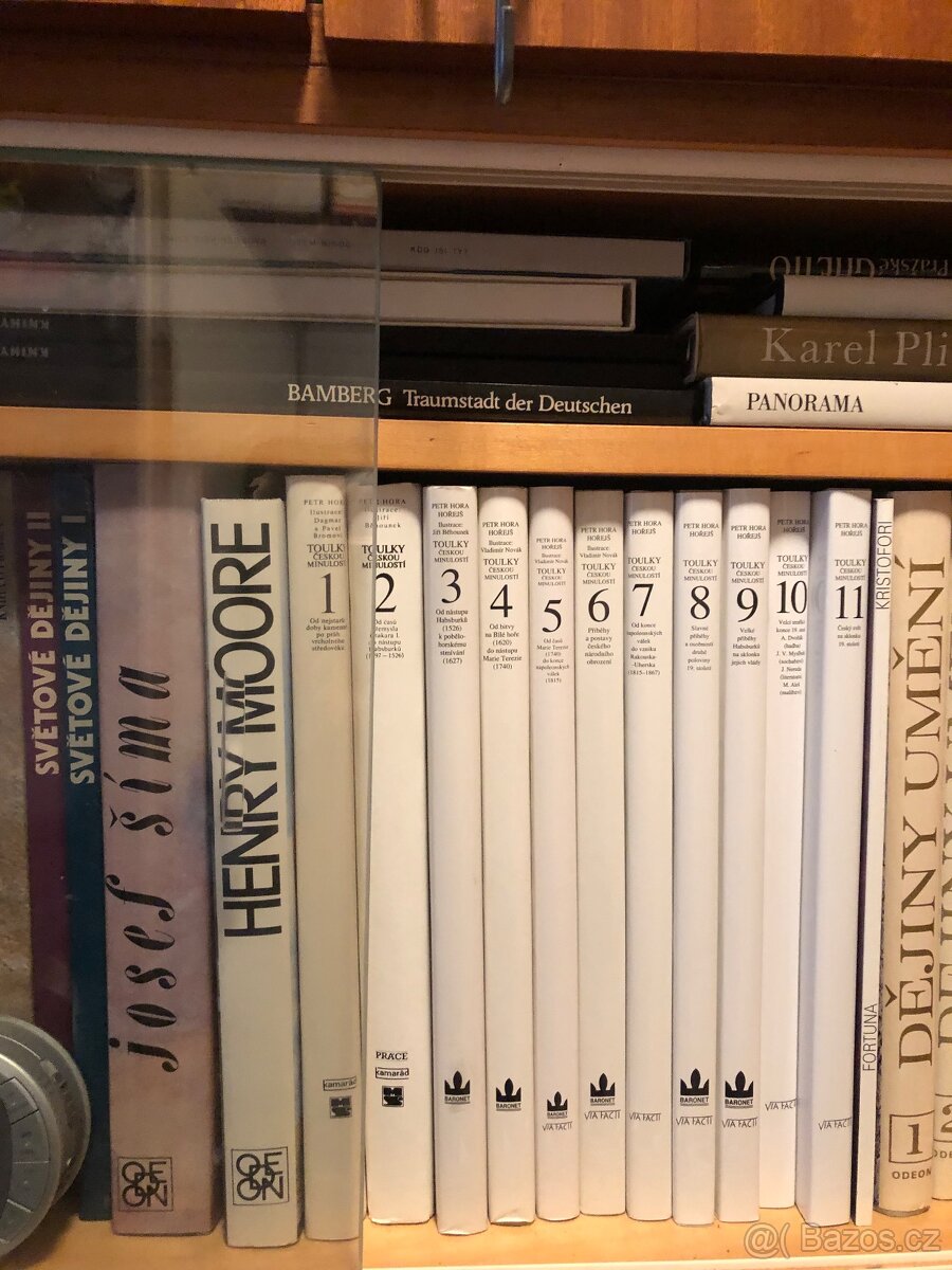 Toulky českou minulostí