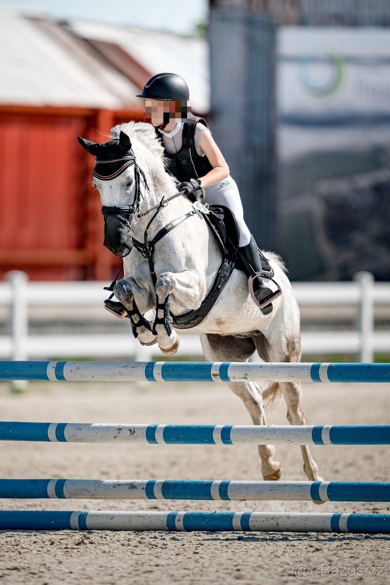 Sportovní pony B klisna