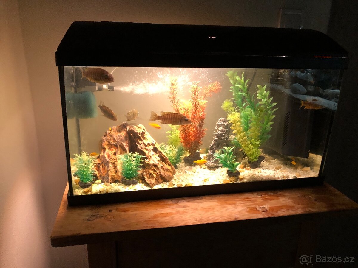 Prodam akvarium s příslušenstvím