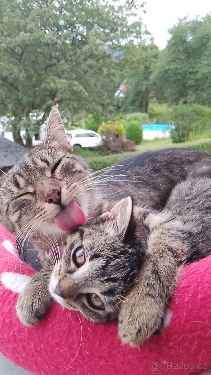 Lili a Neli