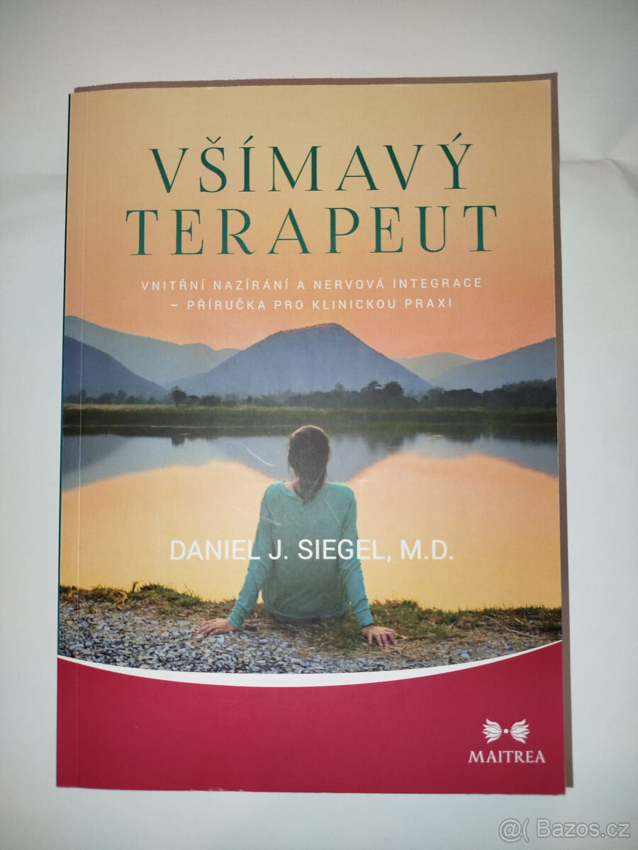 Všímavý terapeut - Vnitřní nazírání a nervová integrace