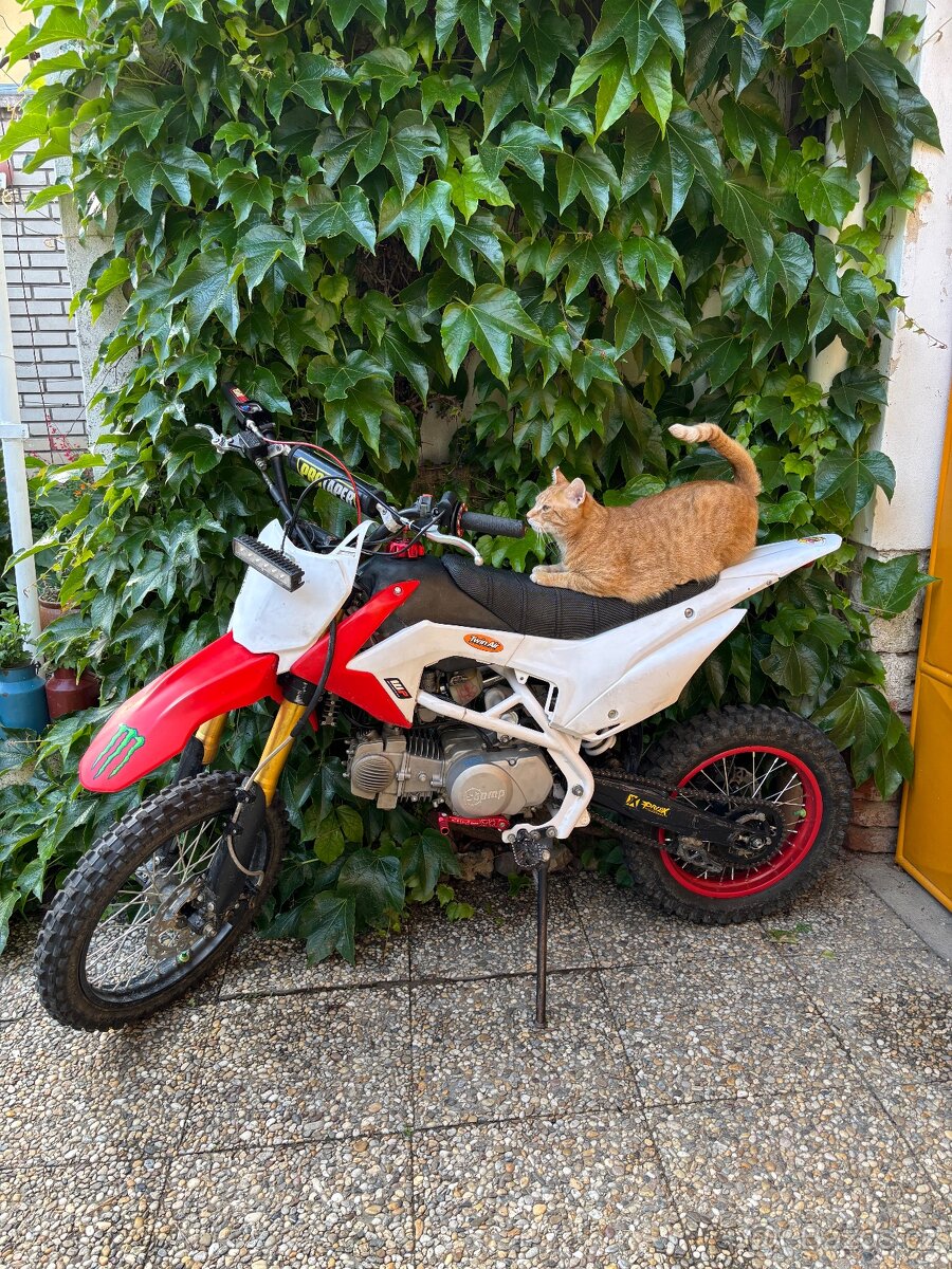 pitbike 140 ccm