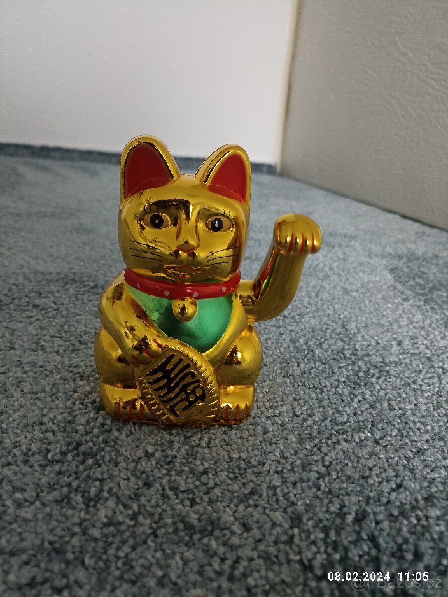 Kočka s mavácí rukou