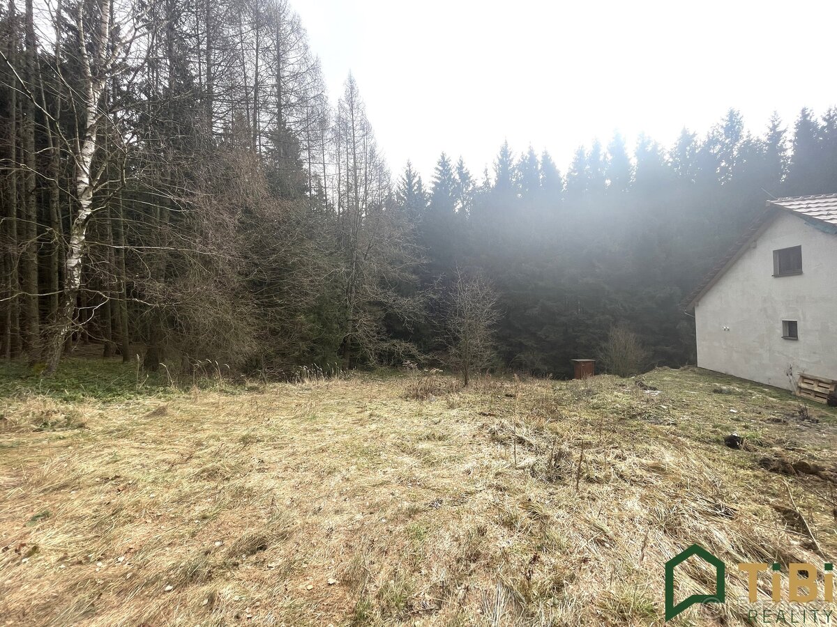 Prodej, Pozemky pro bydlení, 1.753 m² - Gruna - Žipotín