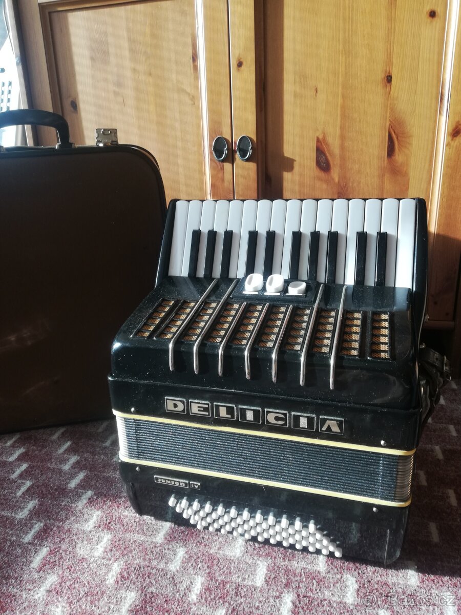 Akordeon - Harmonika Delicia 60 basů + kufr