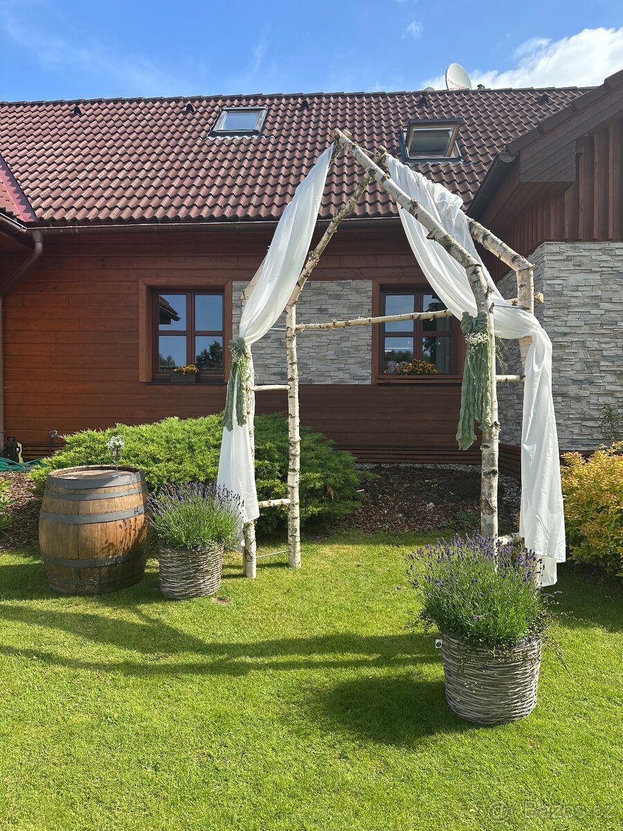 Slavobrána bříza