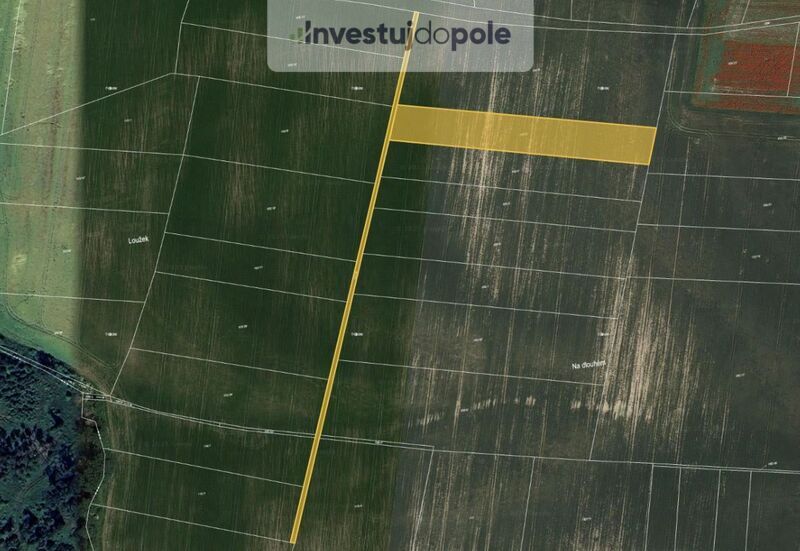 Prodej pole v k.ú. Horní Slivno