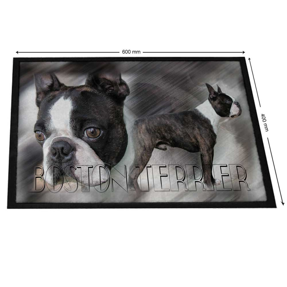 Kobereček - Bostonský teriér