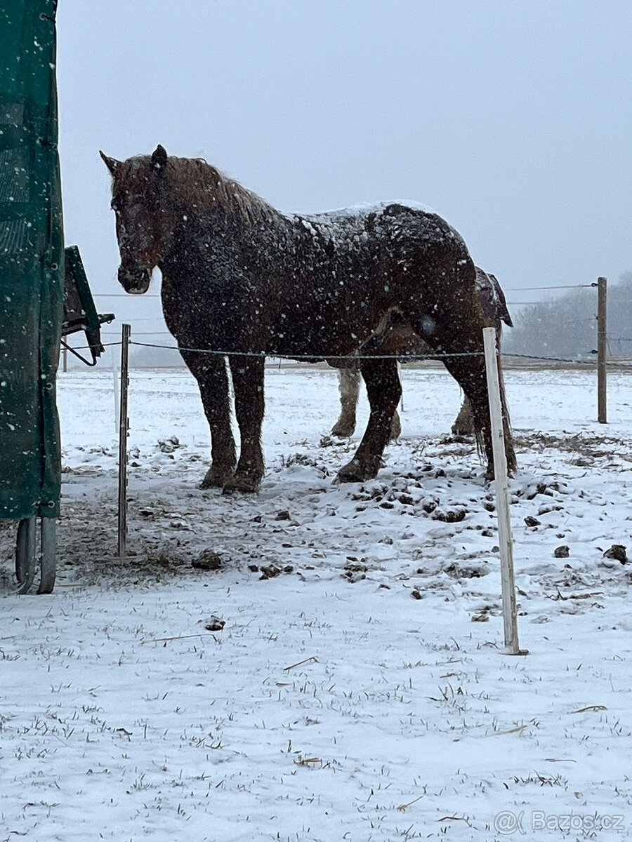 Valach pro začátečníky