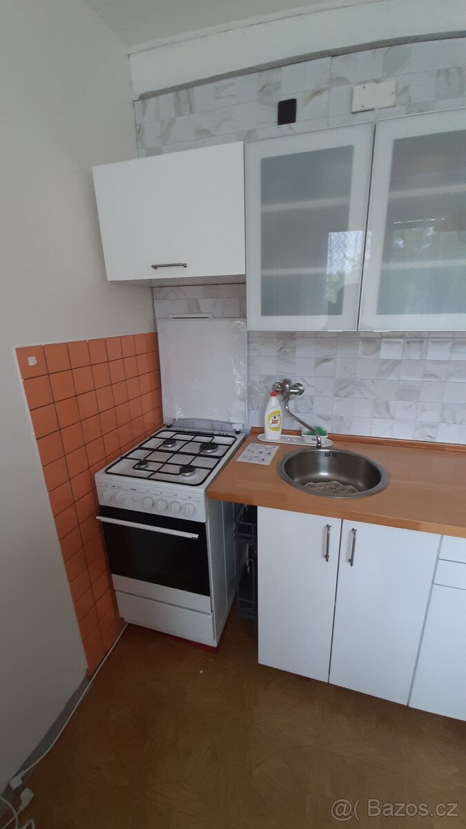 pronájem