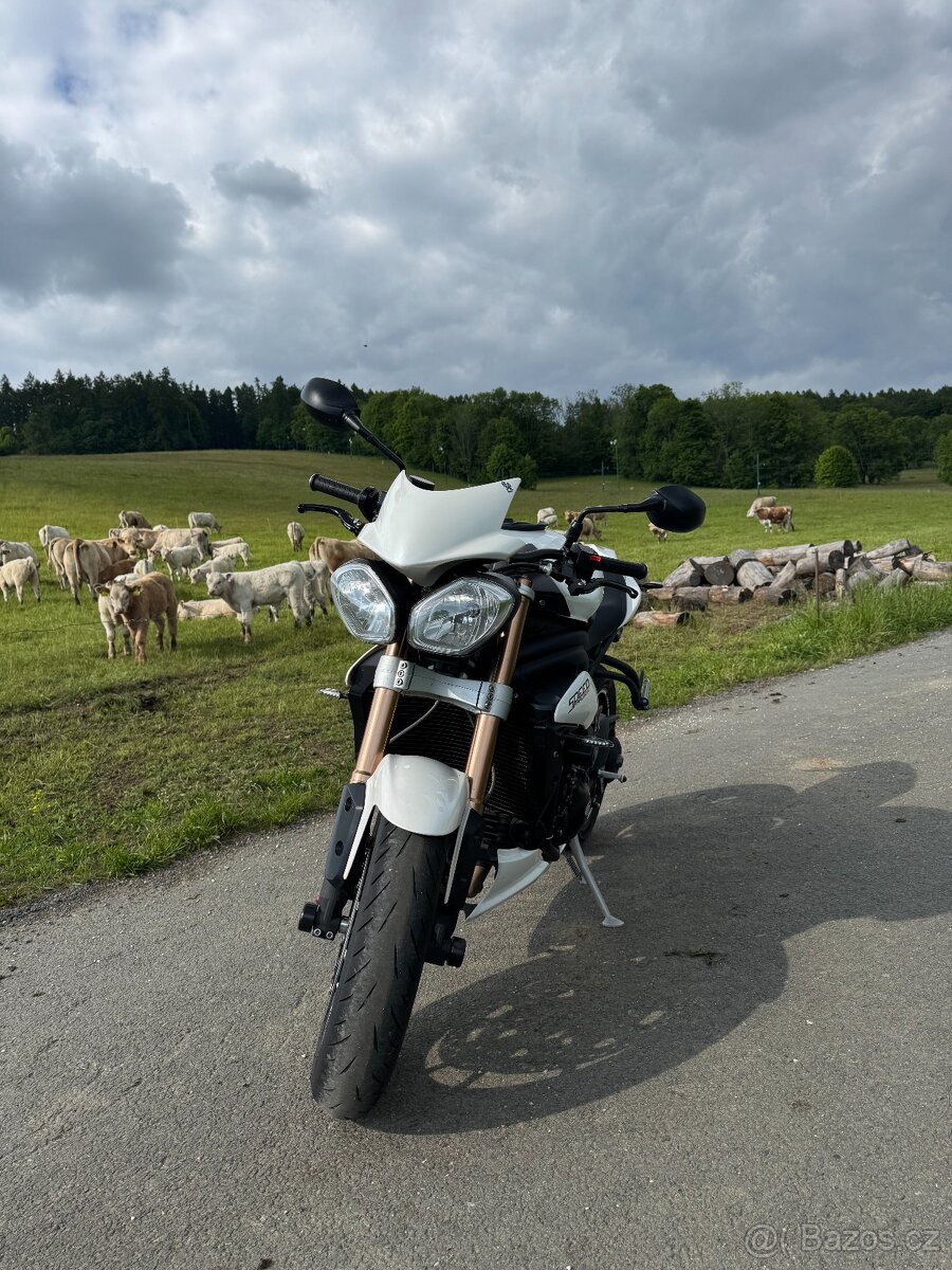 Triumph speed triple 1050