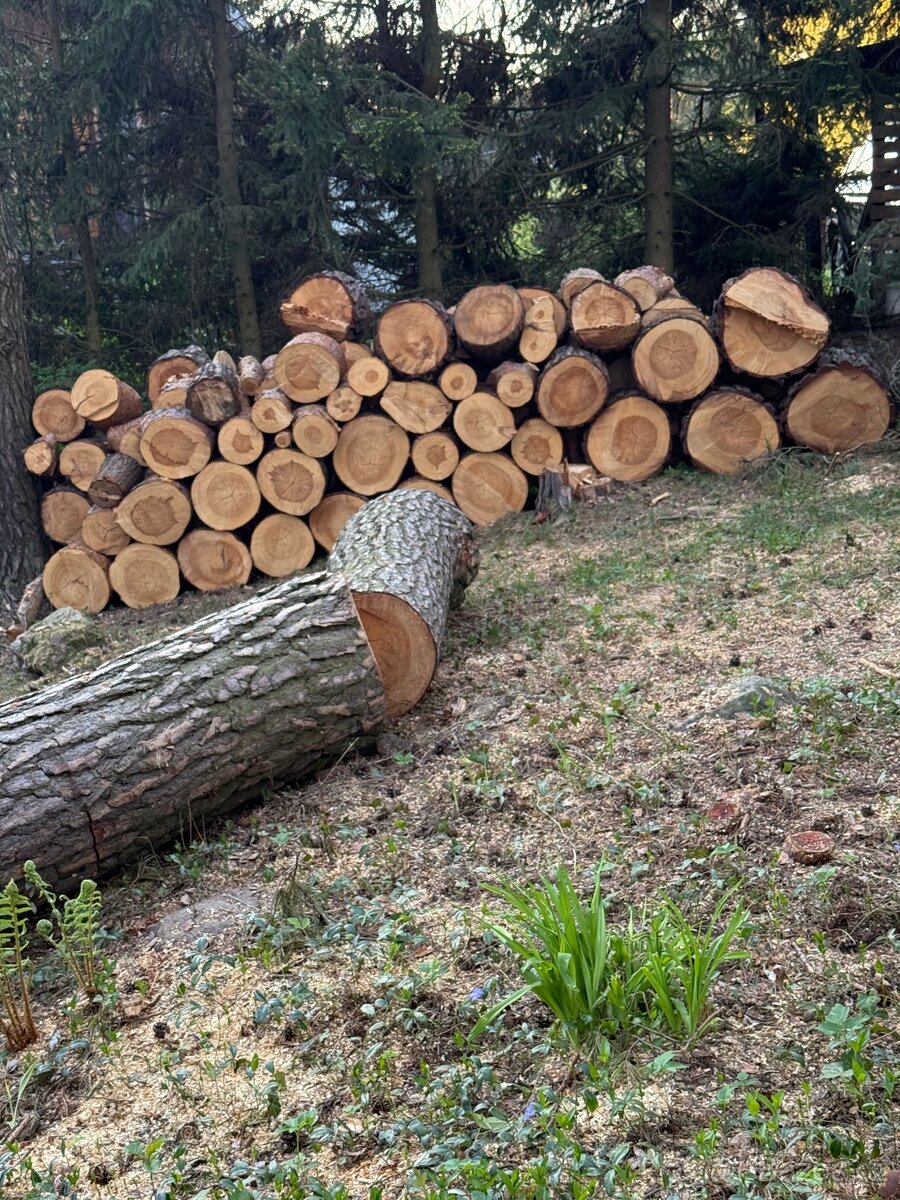 Dřevo borovice 30-40cm špalky