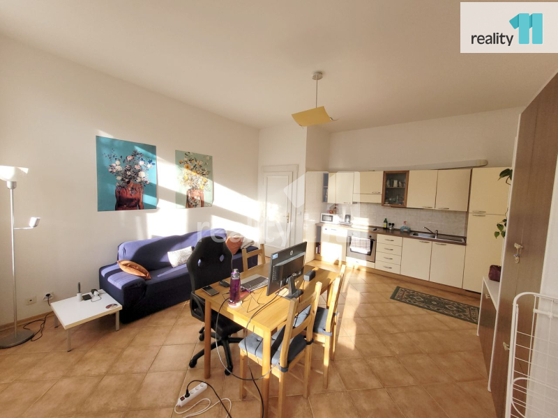 Pronájem bytu 2+kk, 53 m2, cihla, zařízený, Praha 8 - Karlín
