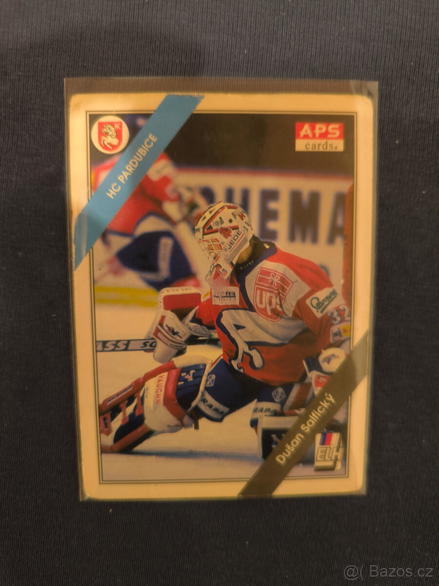 Hokejová Karta - Dušan Salfický APS 94/95