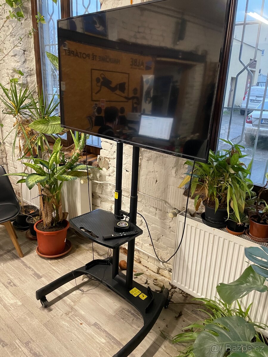 Televize s úhlopříčkou 55 + stojan na kolečkách