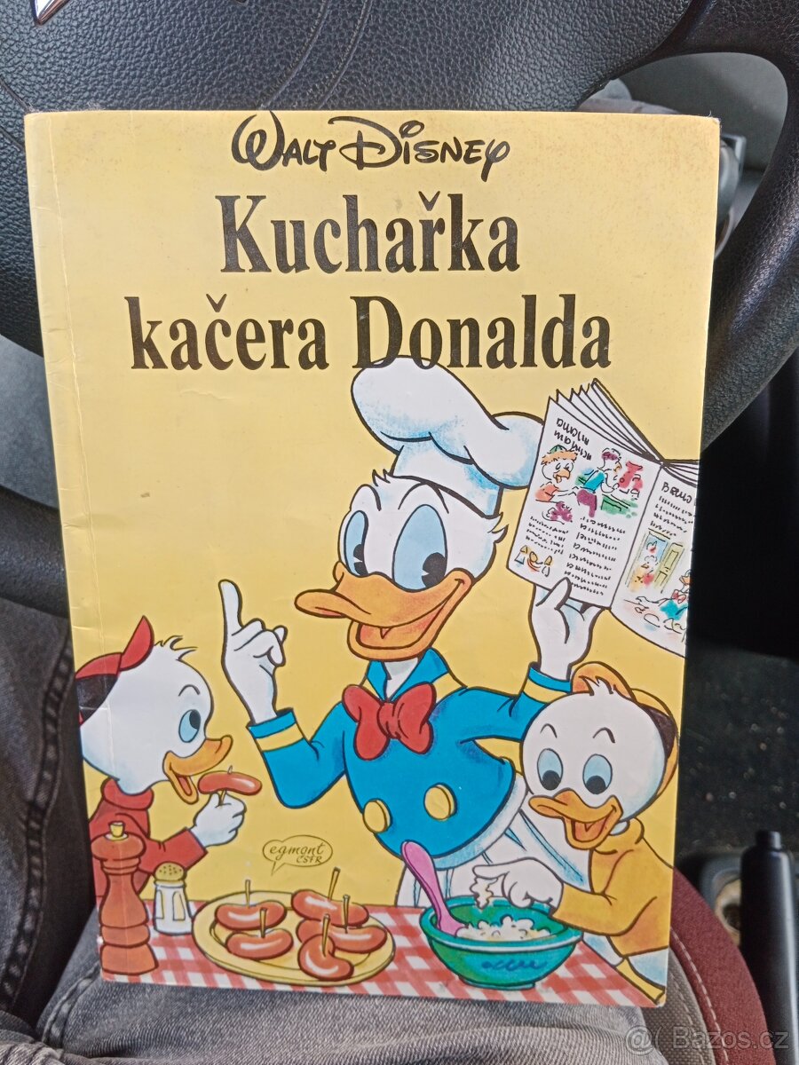 Kuchařka Kačera Donalda