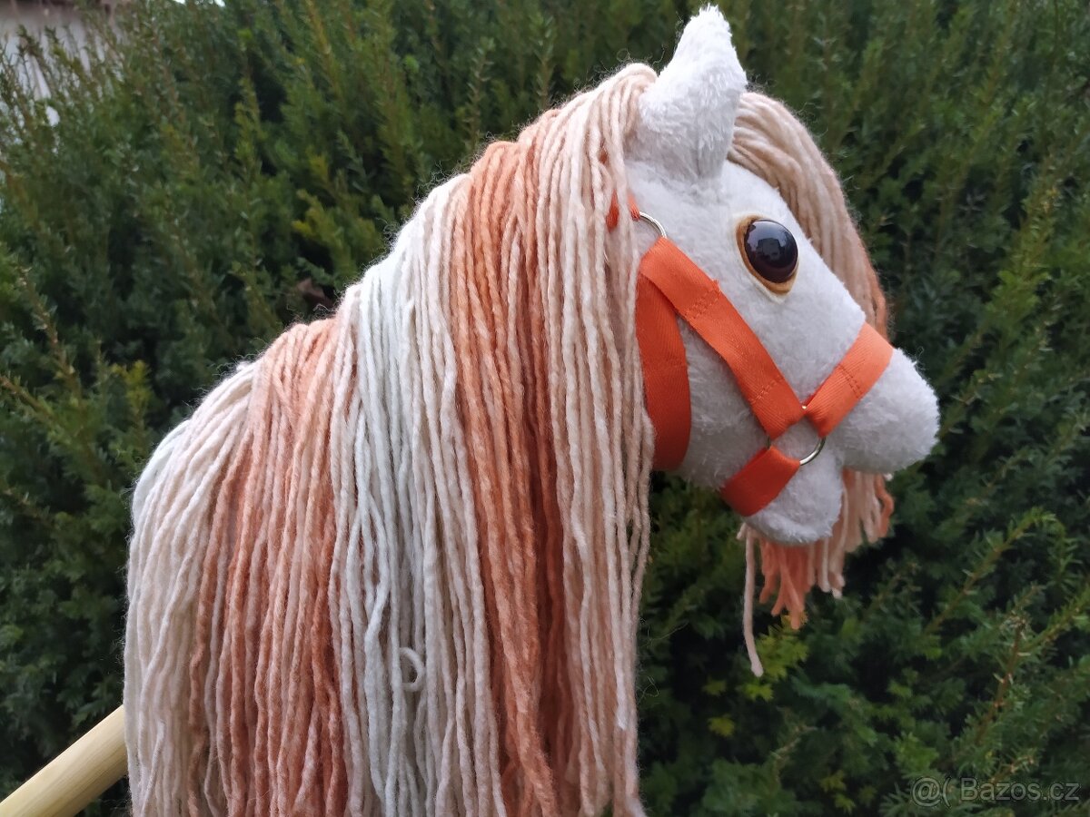 Hobby horse