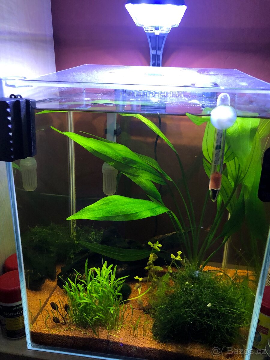Akvárium 30l