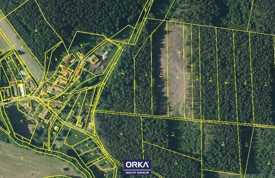 Prodej, Lesy, 5078m2 - Budětsko