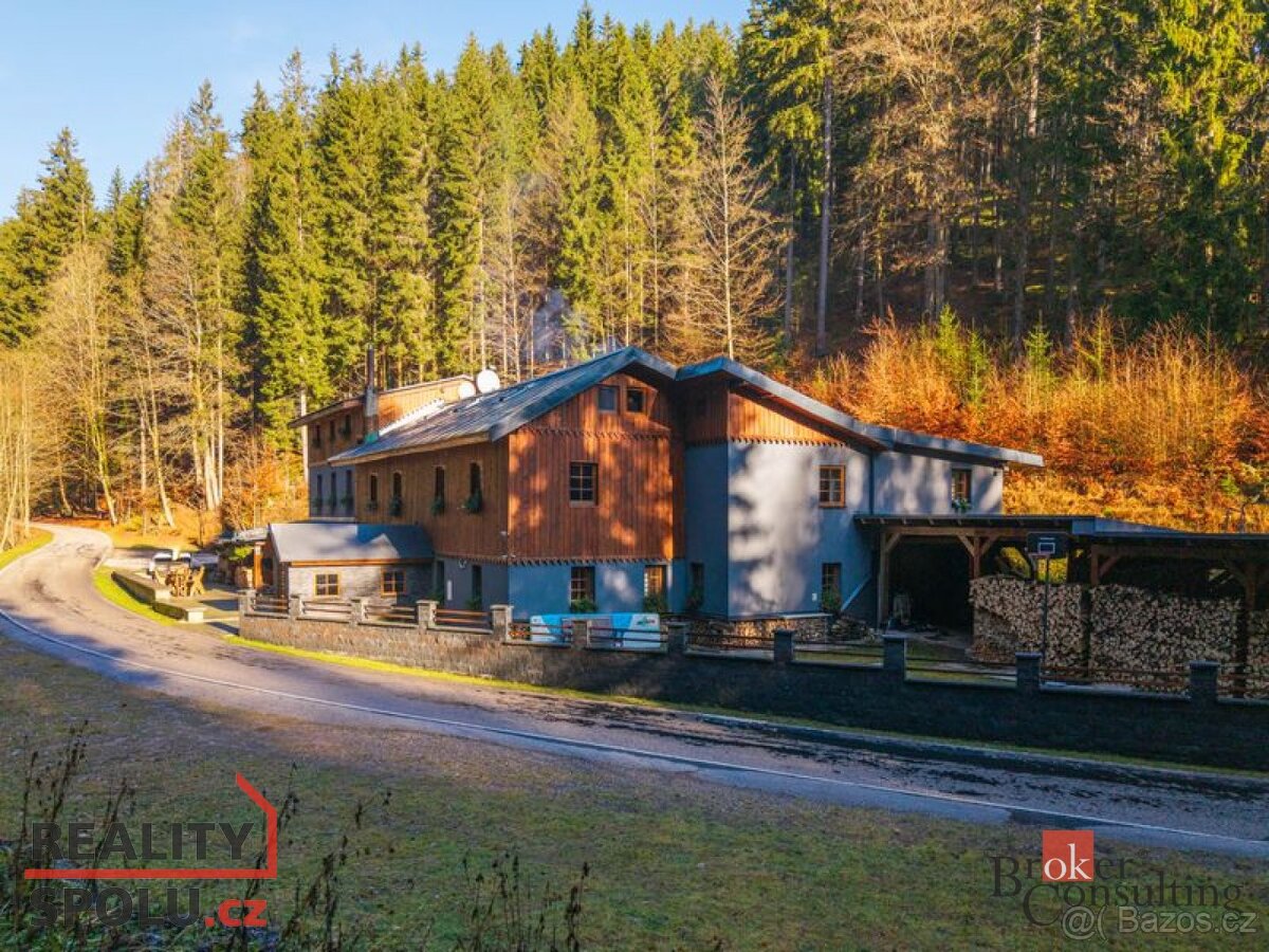 Prodej, komerční/ubytování, 650 m2, 54352 Strážné, Trutnov [